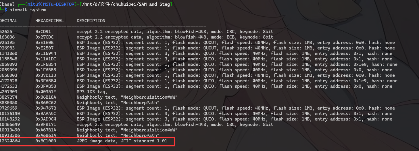 image-20260313125618696