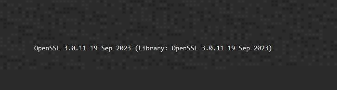 image-20260313125822454